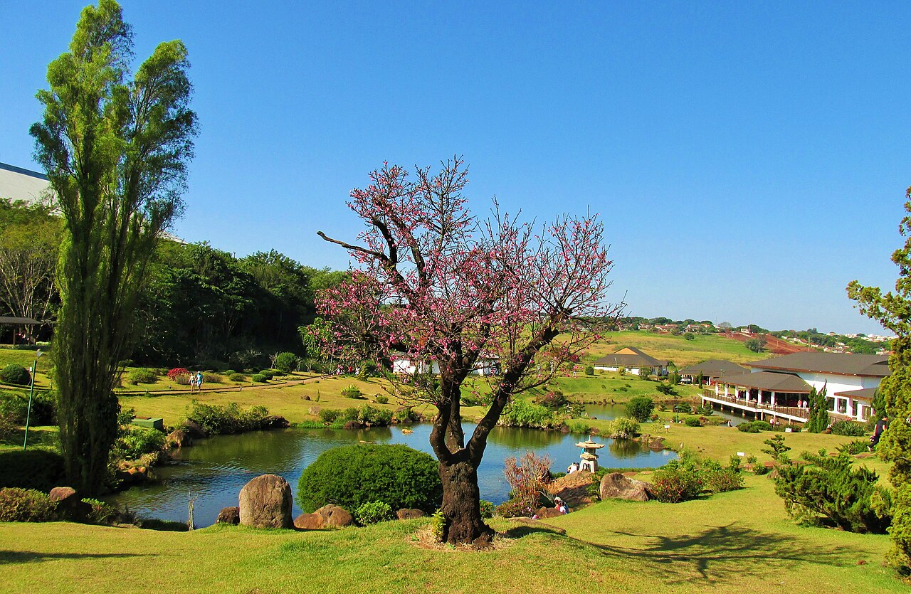 Lago, cerejeira e jardins do Parque do Japão em Maringá